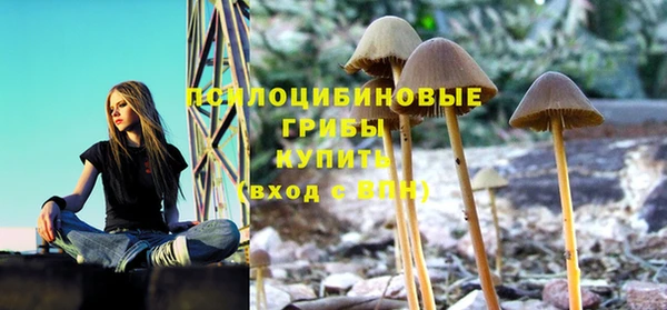 ALPHA PVP Арсеньев
