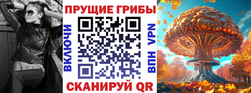 Псилоцибиновые грибы ЛСД  наркошоп  Олонец 